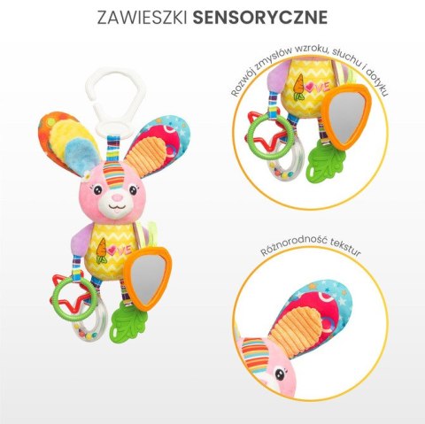 COLORFUL GRZECHOTKA PODRÓŻNA PTASZEK COLORFUL GRZECHOTKA PODRÓŻNA PTASZEK