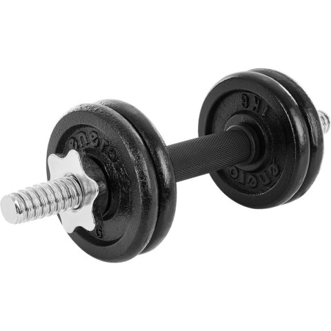 HANTLA ŻELIWNA 15 KG ( 2x7.5 KG ) WALIZKA ENERO FIT HANTLA ŻELIWNA 15 KG ( 2x7.5 KG ) WALIZKA ENERO FIT