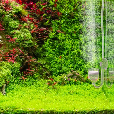 Aquario Professional 2.0 - zestaw CO2 z elektrozaworem + butla 5l Aquario Professional 2.0 - zestaw CO2 z elektrozaworem + butla 5l