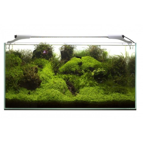 Aquael Leddy Slim 32W Sunny Day&Night 80-100 Czarny Aquael Leddy Slim 32W Sunny Day&Night 80-100 Czarny