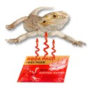 Aqua Heat Pack 40H 'Gold' x10 - zestaw 10 ogrzewaczy
