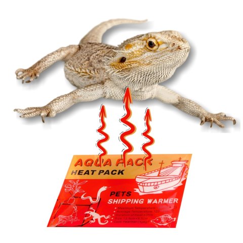Aqua Heat Pack 40H 'Gold' x10 - zestaw 10 ogrzewaczy Aqua Heat Pack 40H 'Gold' x10 - zestaw 10 ogrzewaczy