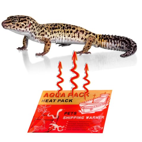Aqua Heat Pack 40H 'Gold" x 100 - zestaw 100 ogrzewaczy Aqua Heat Pack 40H 'Gold" x 100 - zestaw 100 ogrzewaczy