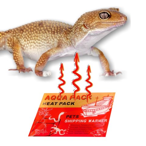 Aqua Heat Pack 40H 'Gold" x 100 - zestaw 100 ogrzewaczy Aqua Heat Pack 40H 'Gold" x 100 - zestaw 100 ogrzewaczy