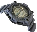Zegarek CASIO WS-1300H-8AVEF + BOX CASIO