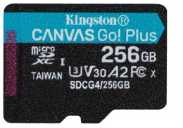 SDCG4/256GB