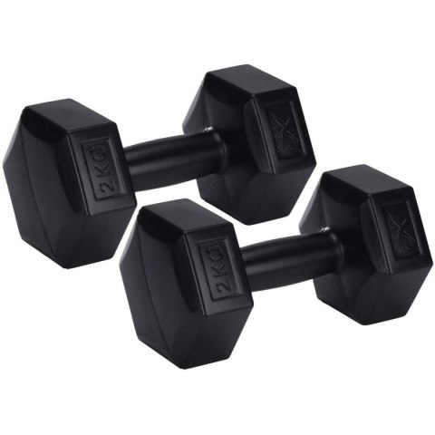 ZESTAW HANTLI KOMPOZYTOWYCH 2x2KG XQMAX ZESTAW HANTLI KOMPOZYTOWYCH 2x2KG XQMAX