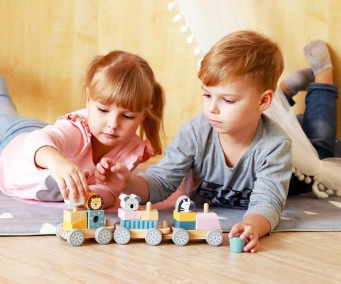 Viga 44015 PolarB Pociąg Viga 44015 PolarB Pociąg