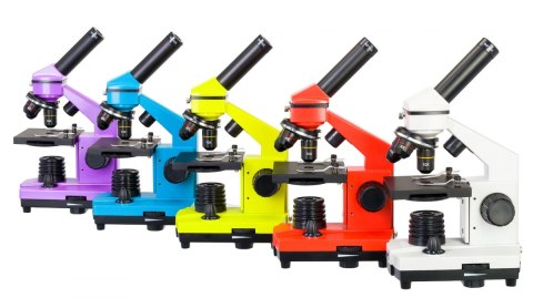 (PL) Mikroskop Levenhuk Rainbow 2L PLUS (PL) Mikroskop Levenhuk Rainbow 2L PLUS