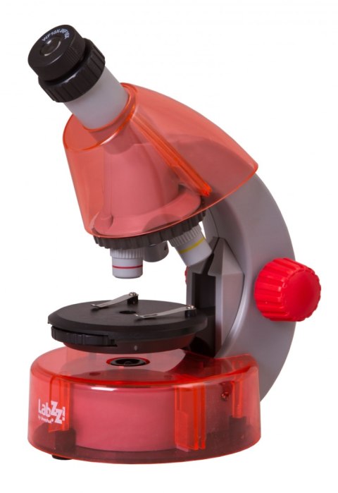(PL) Mikroskop Levenhuk LabZZ M101 (PL) Mikroskop Levenhuk LabZZ M101