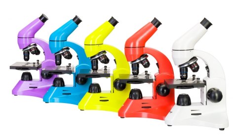 (PL) Mikroskop Levenhuk Rainbow 50L PLUS (PL) Mikroskop Levenhuk Rainbow 50L PLUS