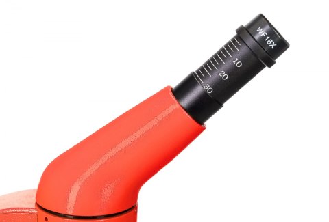 (PL) Mikroskop Levenhuk Rainbow 50L PLUS (PL) Mikroskop Levenhuk Rainbow 50L PLUS