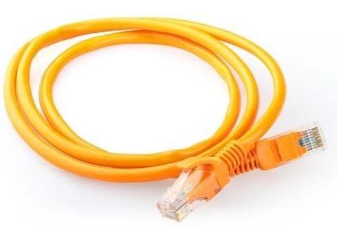 GEMBIRD CAT 5e 1 m 1 Sieciowy GEMBIRD CAT 5e 1 m 1 Sieciowy