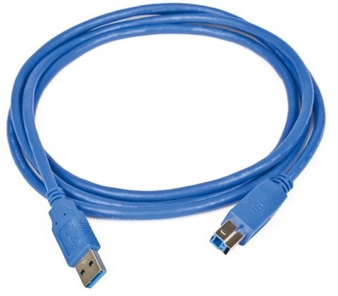 Kabel USB GEMBIRD USB 3.0 typ B 0.5 Kabel USB GEMBIRD USB 3.0 typ B 0.5