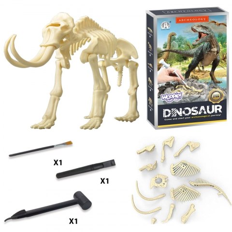 WOOPIE Zabawka Kreatywna Dinozaur Szkielet Wykopalisko Archeologiczne WOOPIE Zabawka Kreatywna Dinozaur Szkielet Wykopalisko Archeologiczne