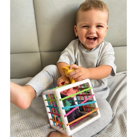 WOOPIE Elastyczna Kostka Sensoryczna Sorter dla Dzieci Kolorowe Dinozaury 6 el. WOOPIE Elastyczna Kostka Sensoryczna Sorter dla Dzieci Kolorowe Dinozaury 6 el.