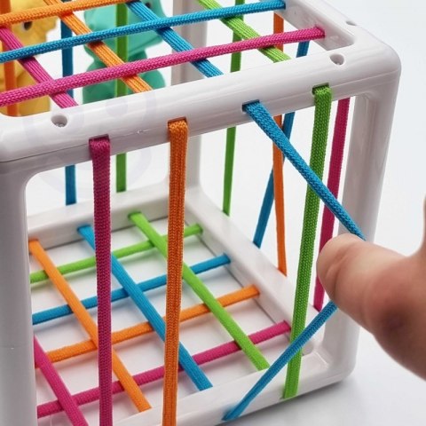 WOOPIE Elastyczna Kostka Sensoryczna Sorter dla Dzieci Kolorowe Dinozaury 6 el. WOOPIE Elastyczna Kostka Sensoryczna Sorter dla Dzieci Kolorowe Dinozaury 6 el.